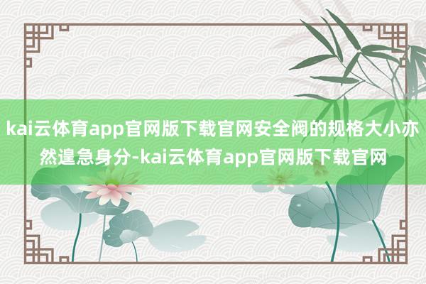 kai云体育app官网版下载官网安全阀的规格大小亦然遑急身分-kai云体育app官网版下载官网